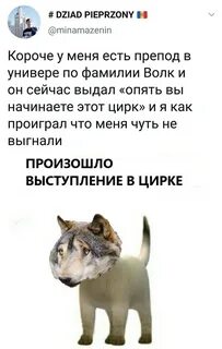 Волк цирк цитата