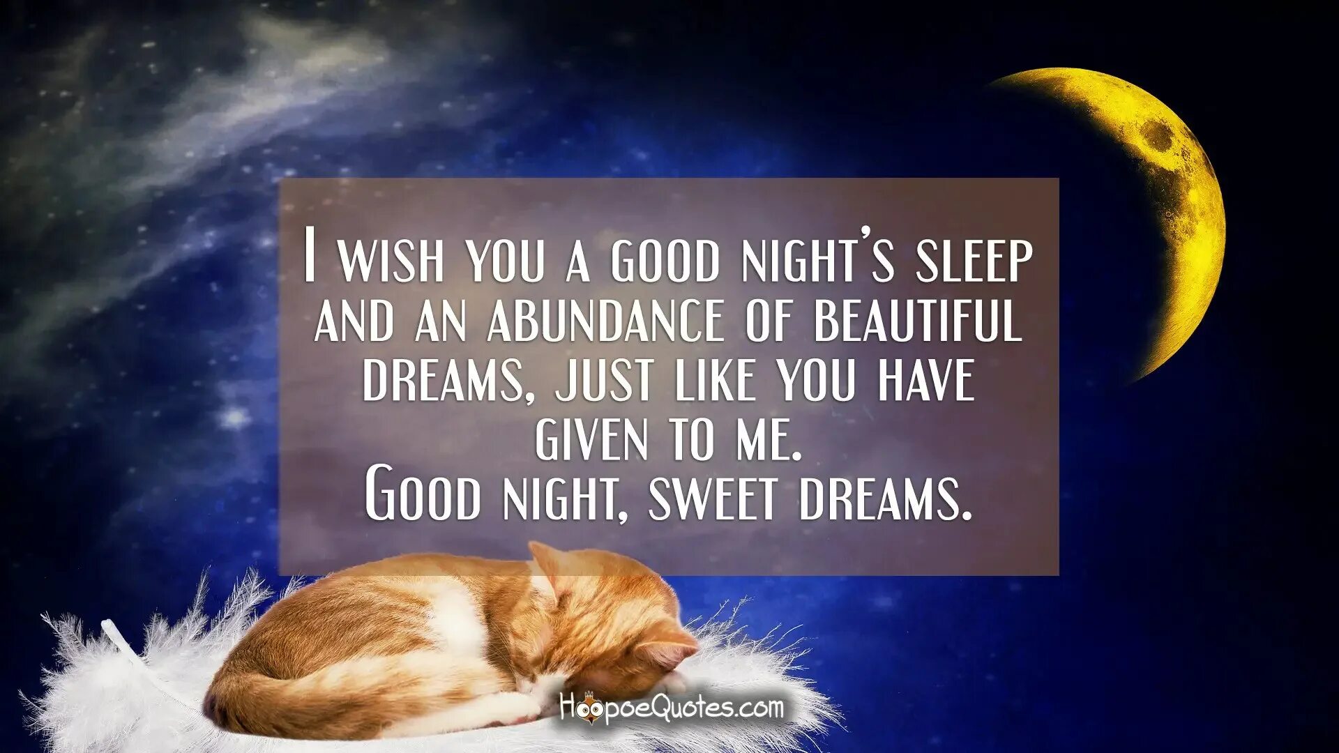 Have good dreams. I Wish you good Night. Good Night Wishes. Wish you Sweet Dreams. I Wish you good Night and Sweet Dreams.