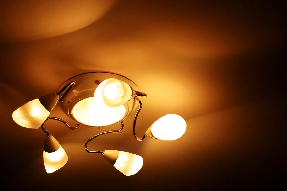 Люстра moooi shade shade. Лампочка на проводе. Светильник "лампочка". Люстра гиф. Люстра light shade shade от mooi.