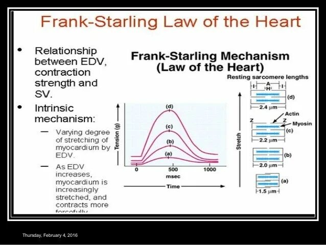 Frank Starling Law. Frank-Starling mechanism. Frank Starling Law in Heart. Mechanism Frank Starling Law in Heart. Старлинг что это