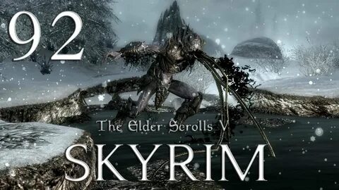 Skyrim webcam