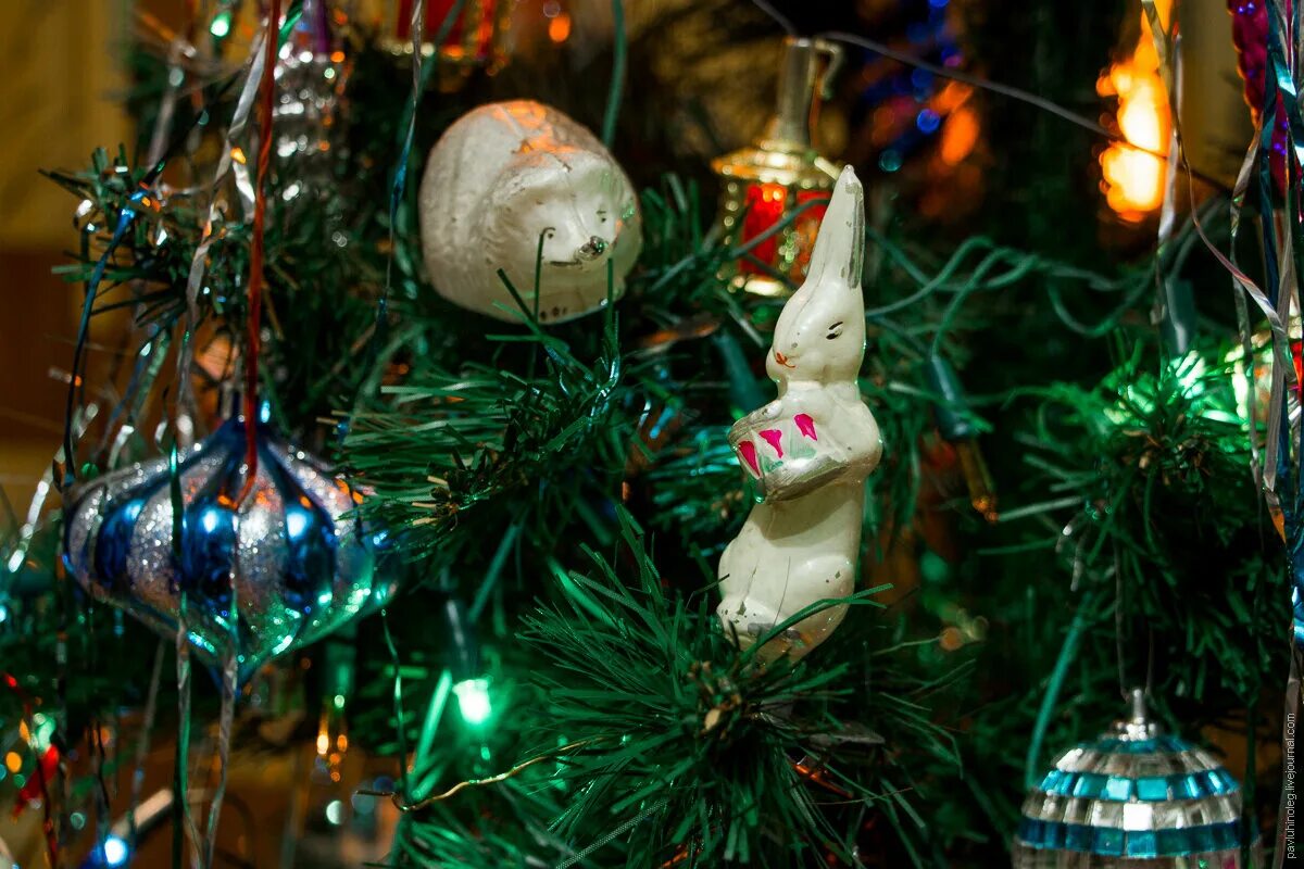 Моем елку. Моем елку. Лучшая елка на мой взгляд. Искусственная елка мытт. Искусственная елка мыться.