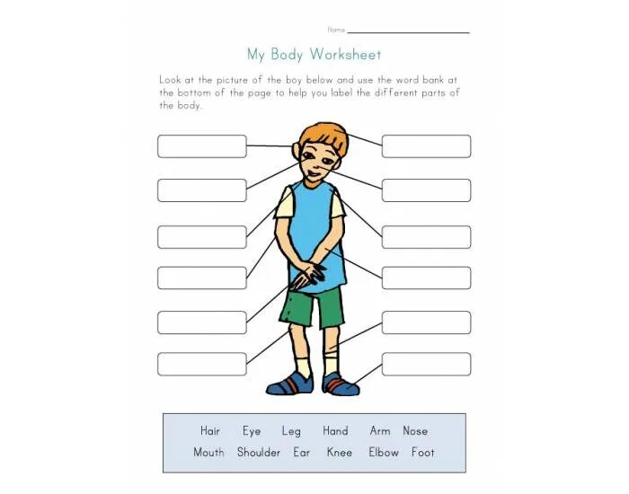 Части тела Worksheets. Задания на тело человека английский. Части тела на английском Worksheets. Parts of body задания для детей. Use the words to label the