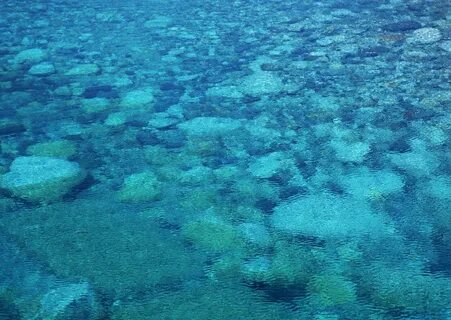Surface waters