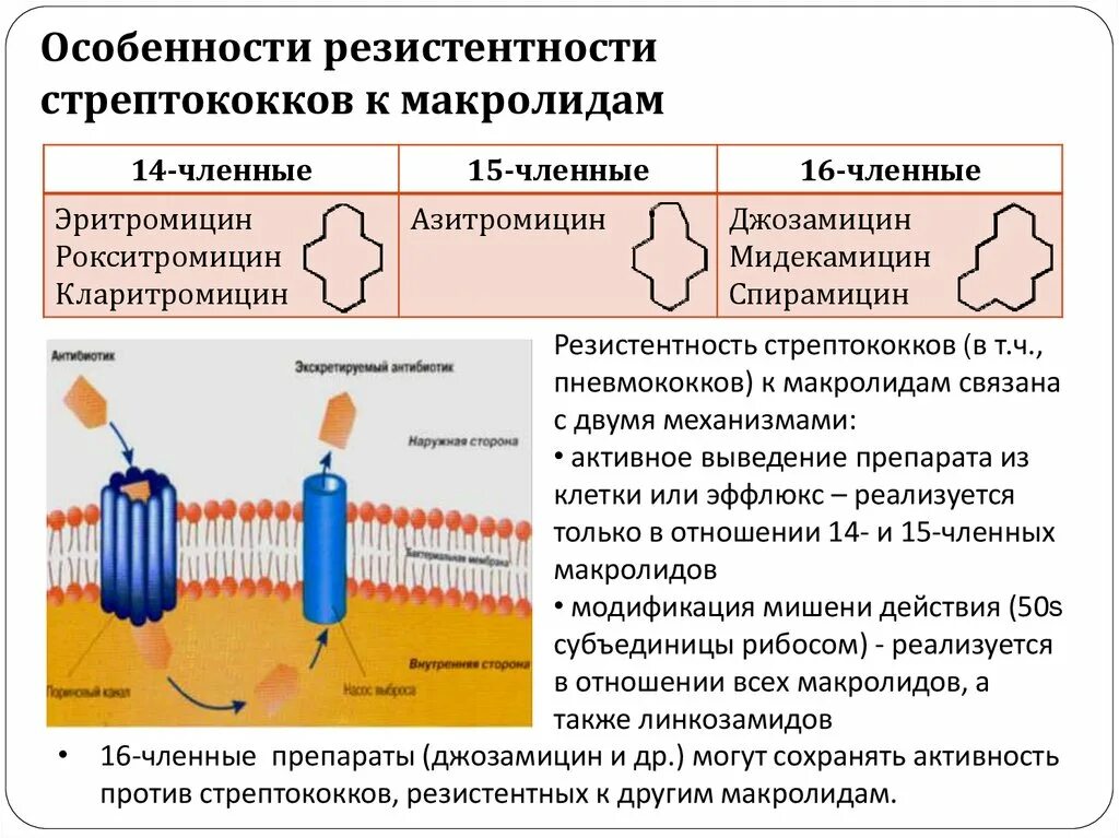 Стрептококк резистентность к антибиотикам. Механизмы устойчивости микроорганизмов к антибиотикам макролиды. Механизмы формирования резистентности к макролидам. Резистентность стрептококков.