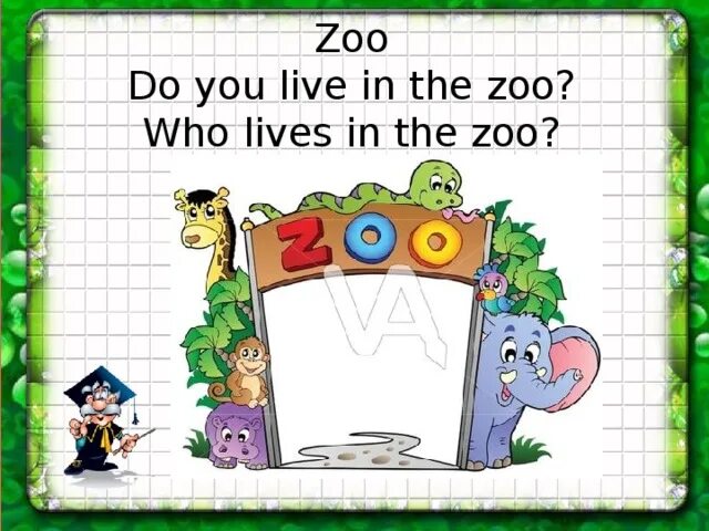Do you like the zoo. I Live in the Zoo 2 класс английский. I Live in the Zoo надпись для детей. Do you like the Zoo, Ann? Произношение. Do you like the Zoo Ann перевод.