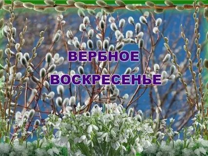 Воскресенье в 24 году