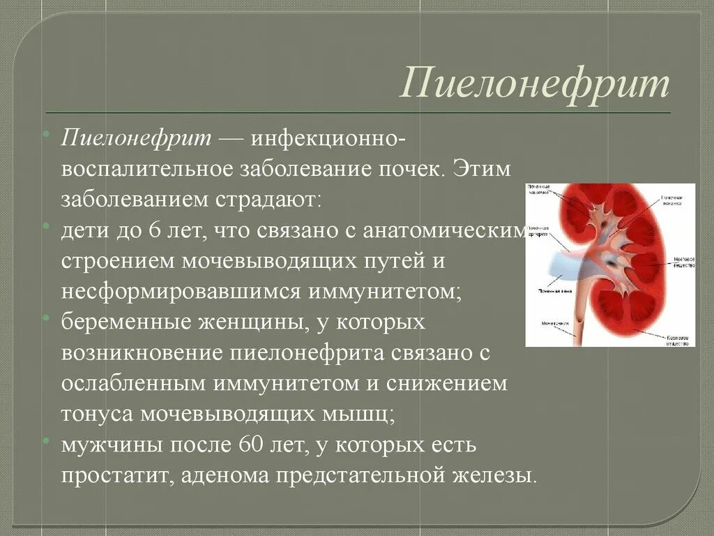 Общее заболевание почек. Пиелонефрит (инфекционное поражение почек). Почечная болезнь пиелонефрит у детей. Пиелонефрит поражение почечной лоханки. Пелонифри.