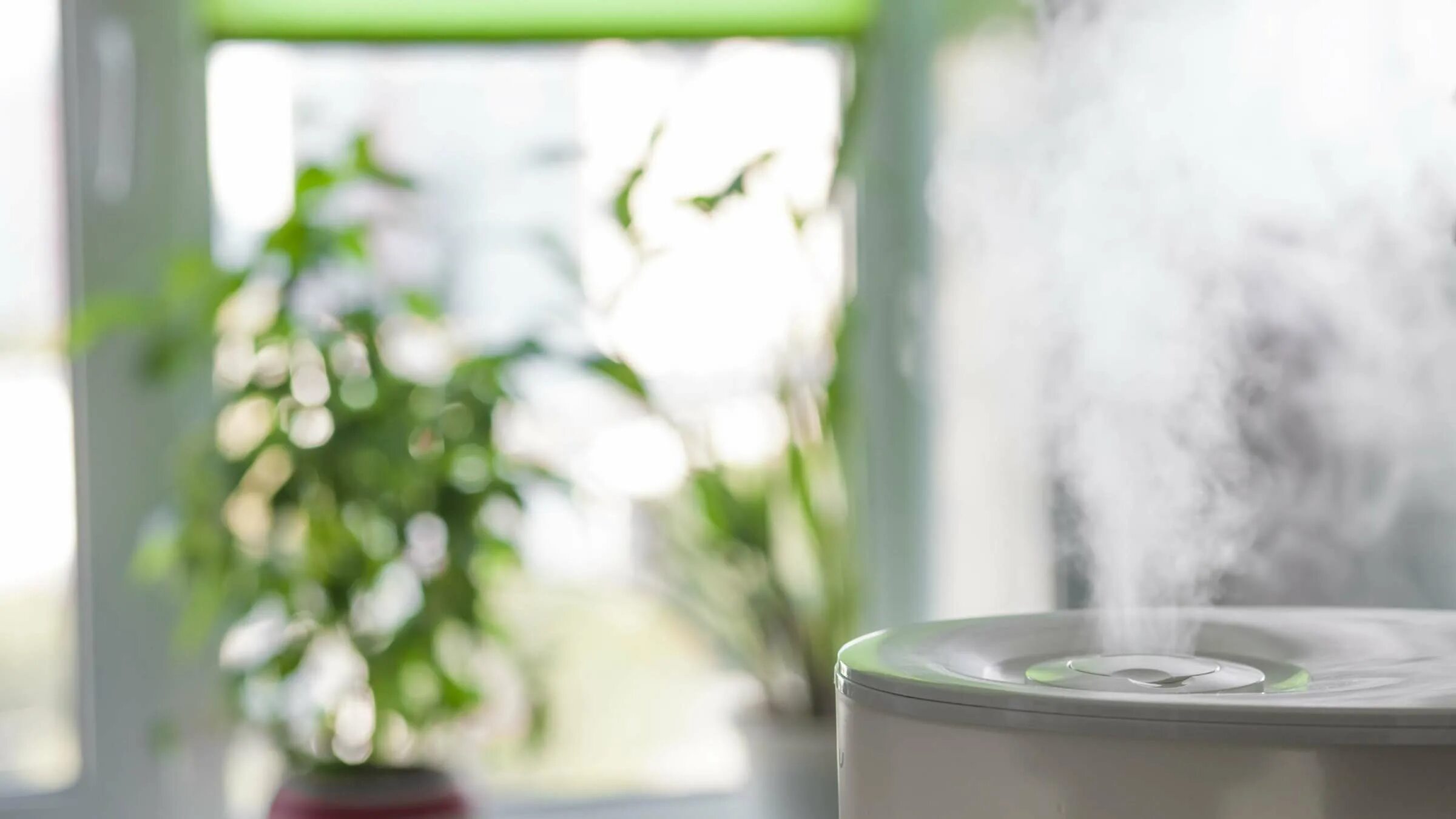 Увлажнение воздуха от пыли. Увлажнитель воздуха genau. Увлажнитель воздуха Humidifier. Увлажнитель воздуха для растений. Увлажнение воздуха в квартире.