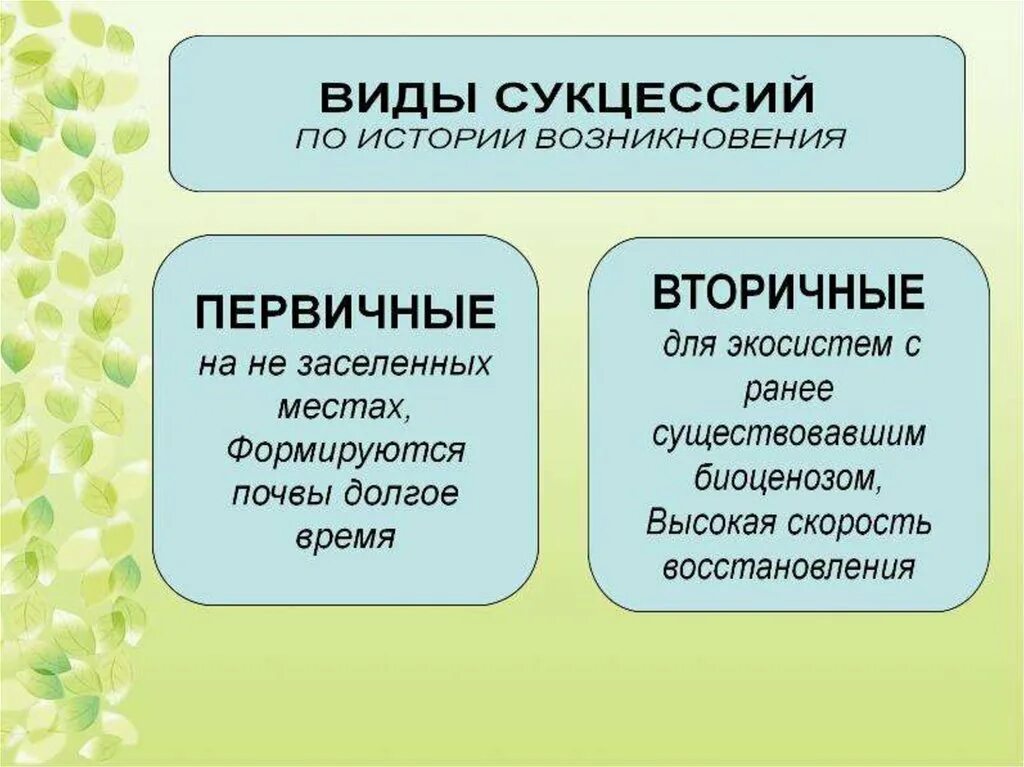 Изменения классов 9 1. Экологическая сукцессия первичная и вторичная. Что такое сукцессия первичная и вторичная в биологии 9 класс. Причины вторичной сукцессии. Типы сукцессий.