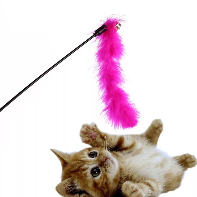 Игрушки для кошек с перьями. Игрушка для кота с перьями. Игрушка для котов палочка с пером. Игрушка для кошки на палочке перышко. Перышки на палочки для кота.
