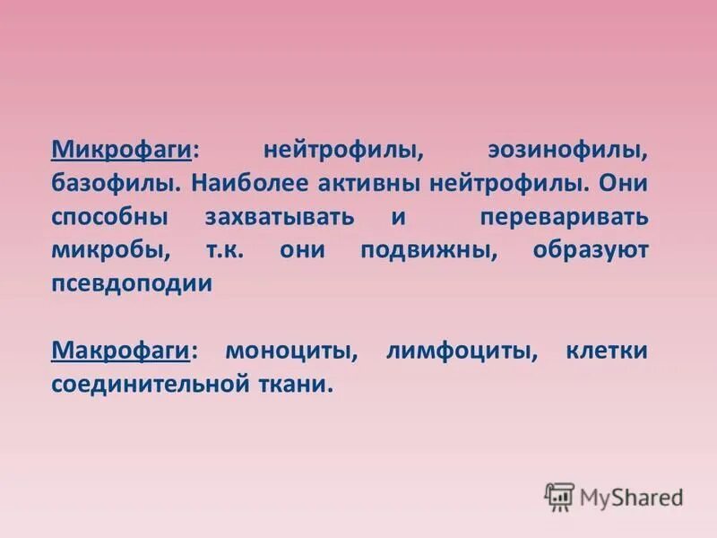 Микрофаги и макрофаги. Классификация фагоцитов иммунология. К микрофагам относят. Микрофаги. Стволовая клетка макрофаги.