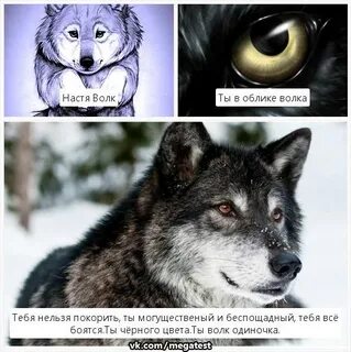 Настя волки