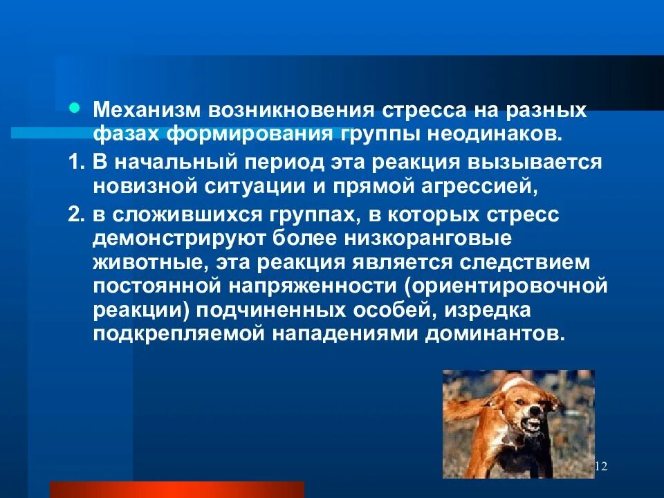 Поддержание популяции. Механизм возникновения популяции. факторы гомеостаза популяции. механизмы поддержания гомеостаза популяции. авторегуляция популяции.