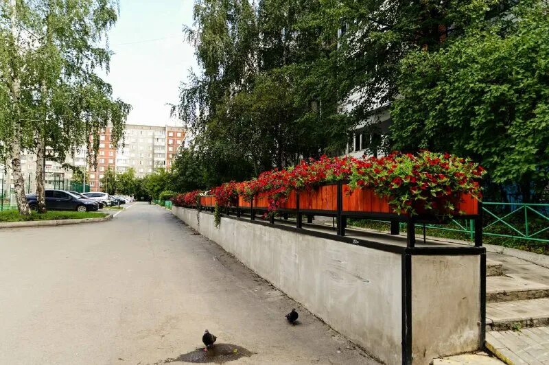 улица анисимова 5 колпино. ук наш дом. комсомольский парк пятигорск площадка. реабилитационный центр жуковка брянской области. аллея комсомольского проспекта пермь.