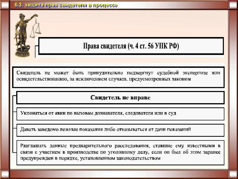 Процессуальный статус обвиняемого. Процессуальное положение свидетеля в уголовном процессе. Процессуальное положение свидетеля в уголовном судопроизводстве. Свидетель правовое положение в уголовном процессе.