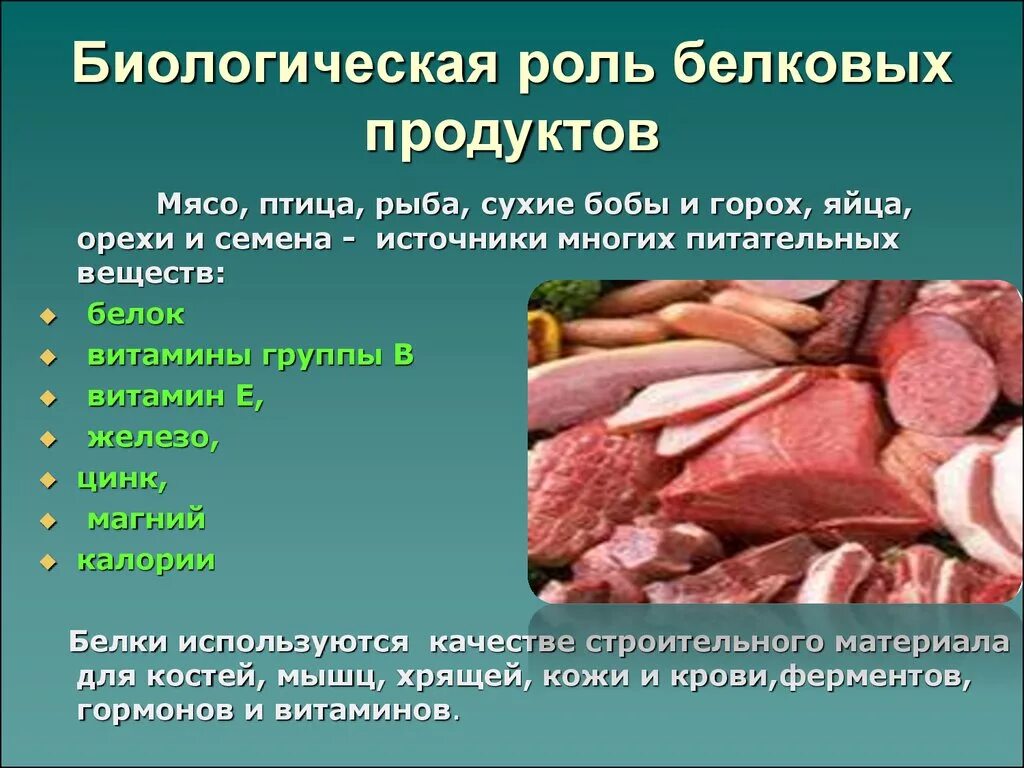 Важность животных белков. Роль белков в питании. Важность белков для организма. Роль белков для человека. Белок мяса птицы