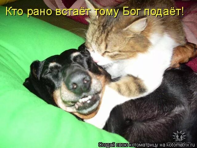 Кто рано тому бог дает