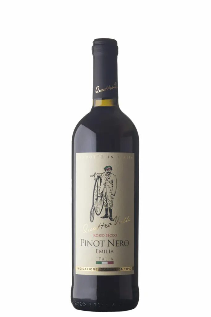 Санджовезе вино красное сухое Италия Тоскана. Вино Toscana Sangiovese. Вино Тоскана Италия красное сухое. Вино Пино Неро сухое Италия.