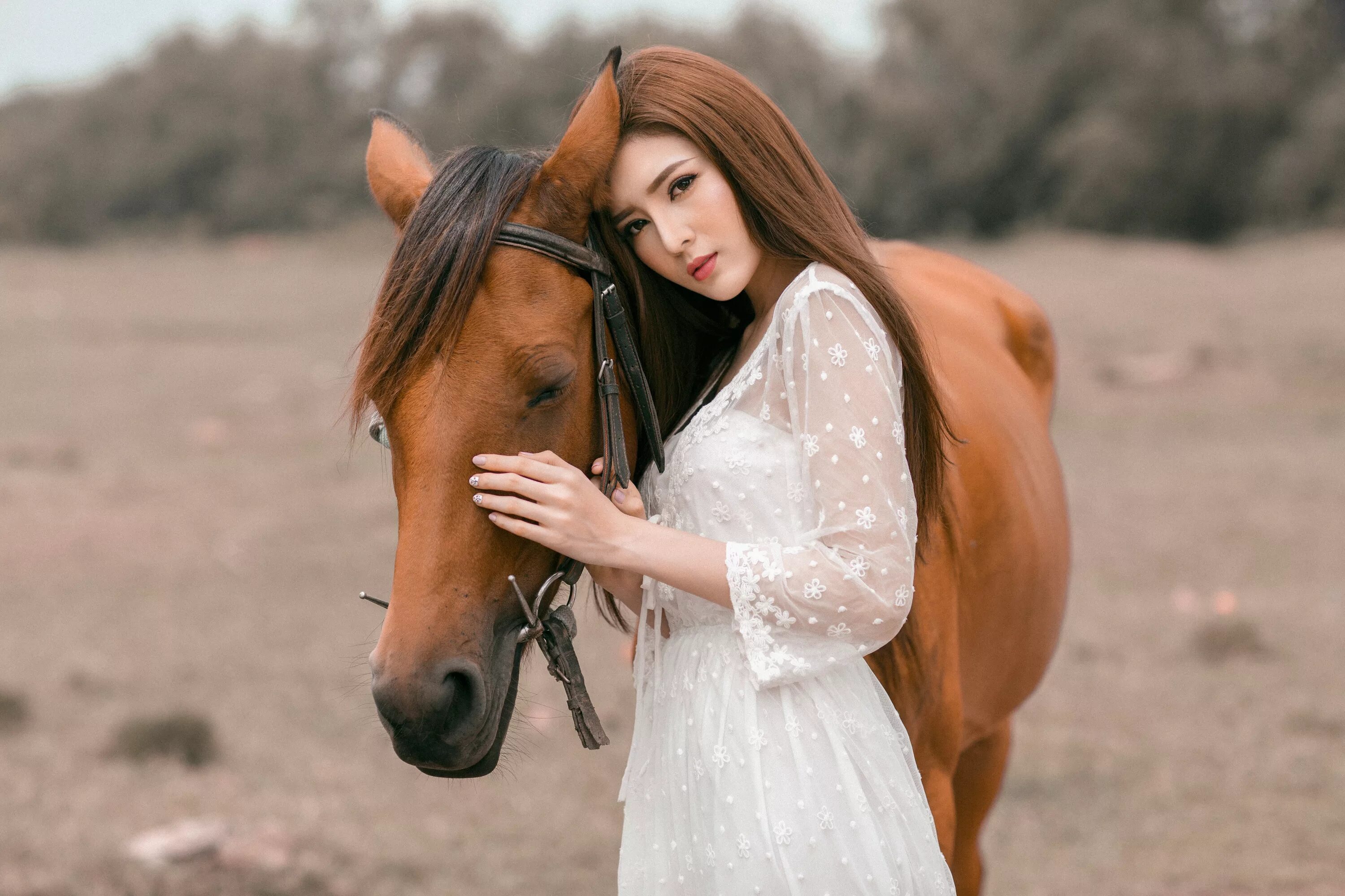 Ин кон. Фотосессия с лошадьми. Девушка с лошадью. Фотосессия с лошадкой. Красивая фотосессия с лошадью.