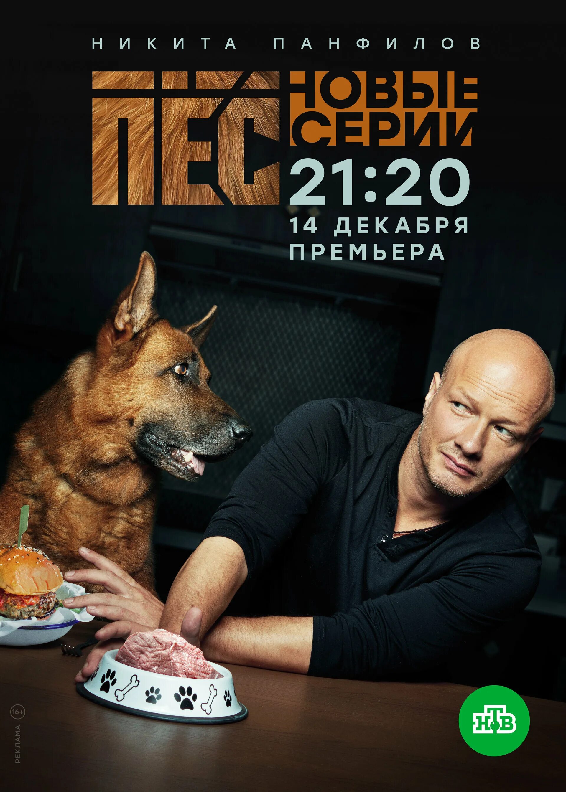 Постеры: Пёс / Постер сериала "Пёс" (2015) #2898312