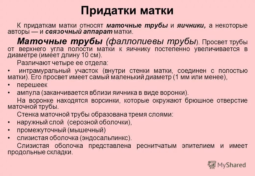 Состояние придатков матки. Женская половая система яичник. Маточные трубы и яичники анатомия. Ректальное исследование в гинекологии. Воспаление маточных труб.