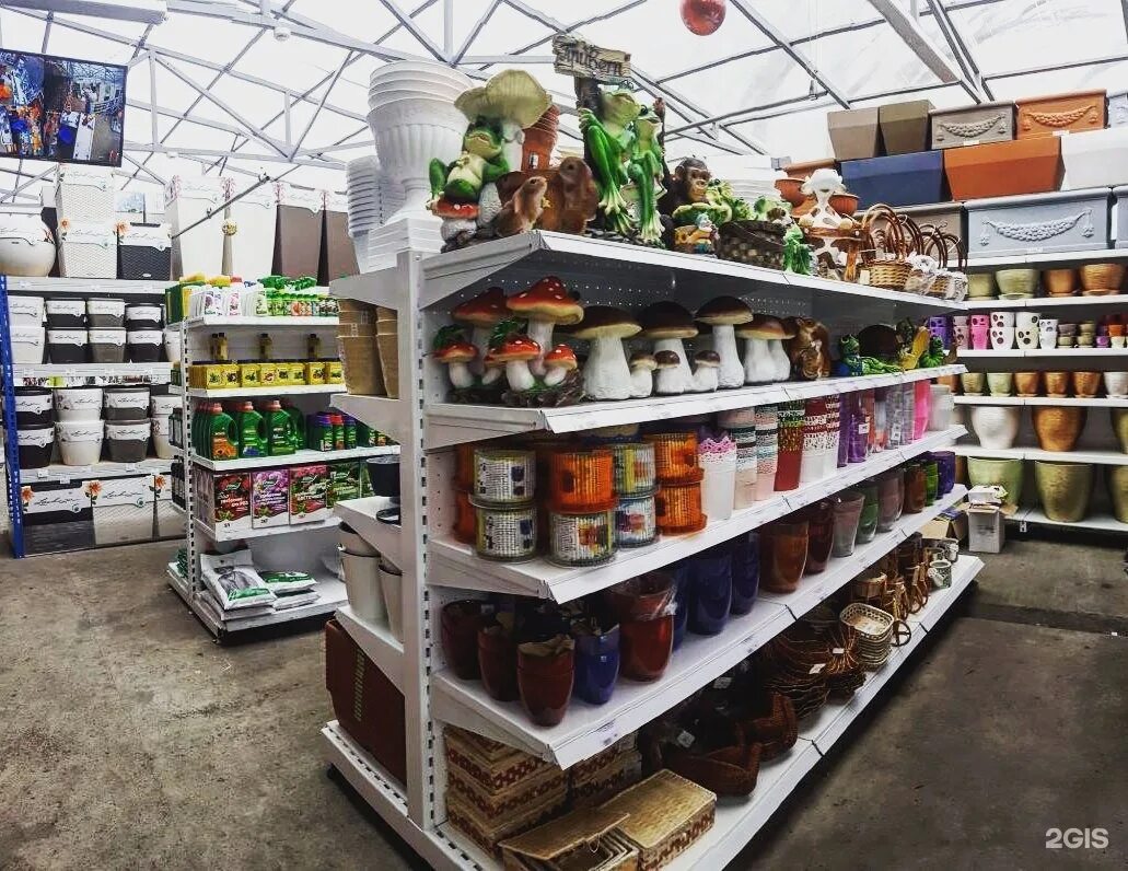 садовые товары липецк. петра смородина 13а липецк. садовый центр веры глуховой гортензии. садовый центр липецк на катукова. садовый центр на соколе липецк.