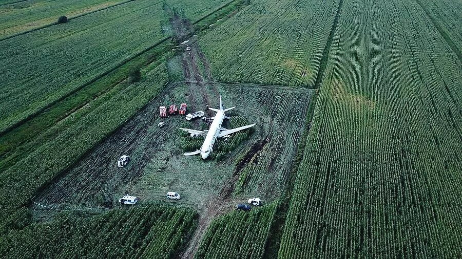 Новый ил 112. Сверхлегкие самолеты. Воздушное судно узбекистан. А321 кукурузное поле. На кукурузном поле airbus a321.