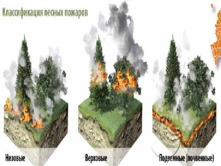 Пожары верховые низовые торфяные