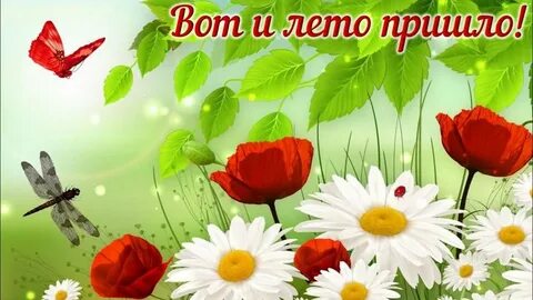 Видео на тему лето