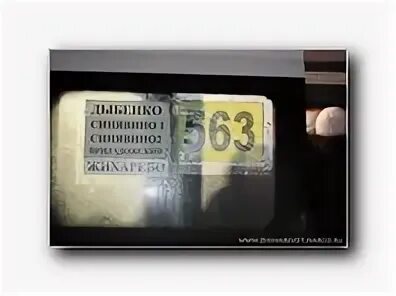 590 автобус расписание жихарево