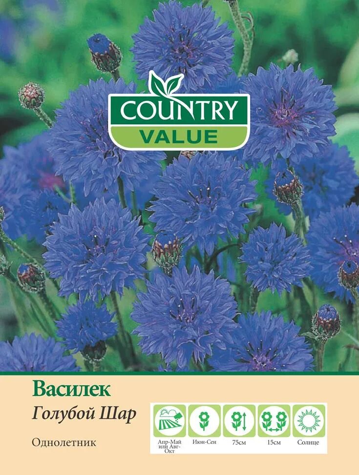 Василек семена. Василек голубой шар. Василек голубые шары. Василек синий семена. Country value