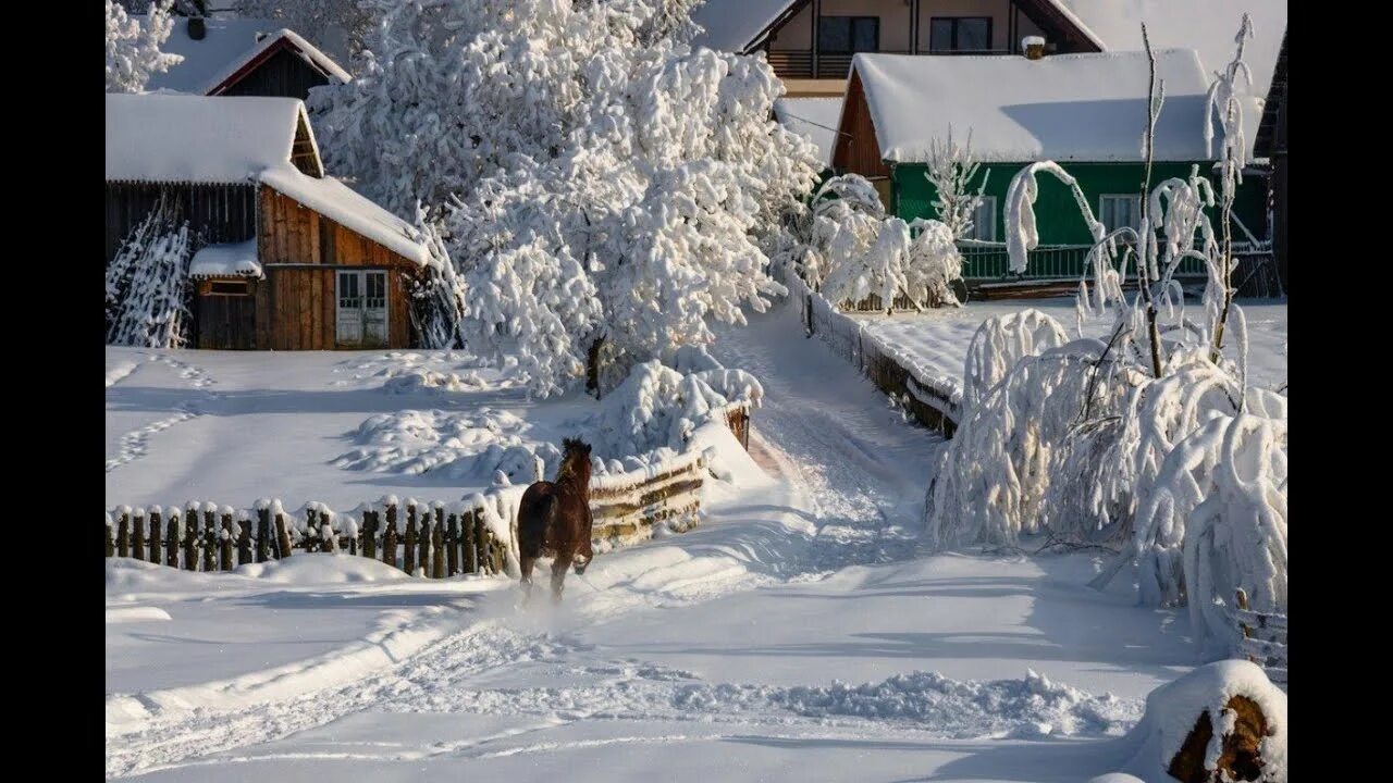 Какие зимы были раньше. Какие зимы были раньше