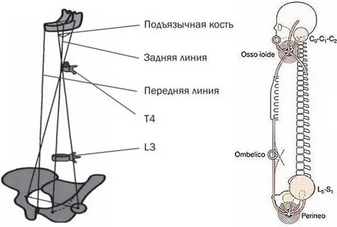 Связь с верхним и нижним