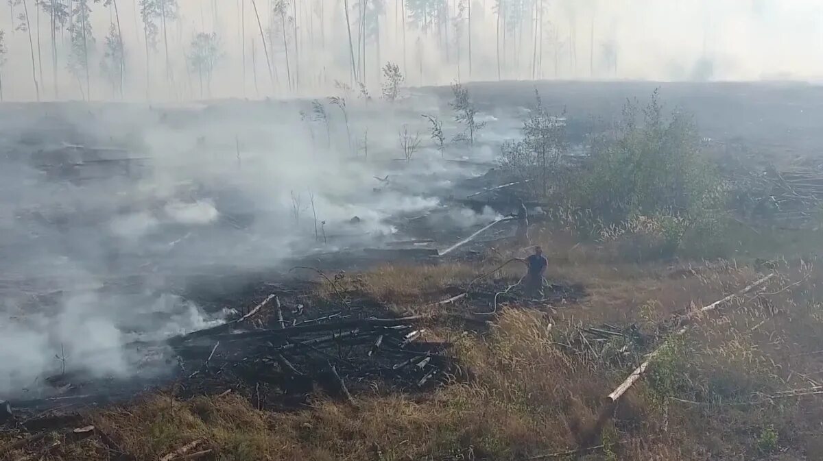 Какого числа был пожар. Пожар в лесу воронеж. пожары в тюмени за последние сутки.