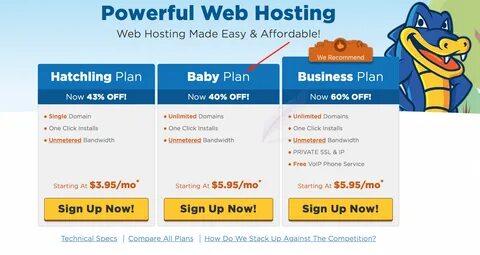 Cheap Way To Create Multiple Niche Websites With HostGator - DigiNo.