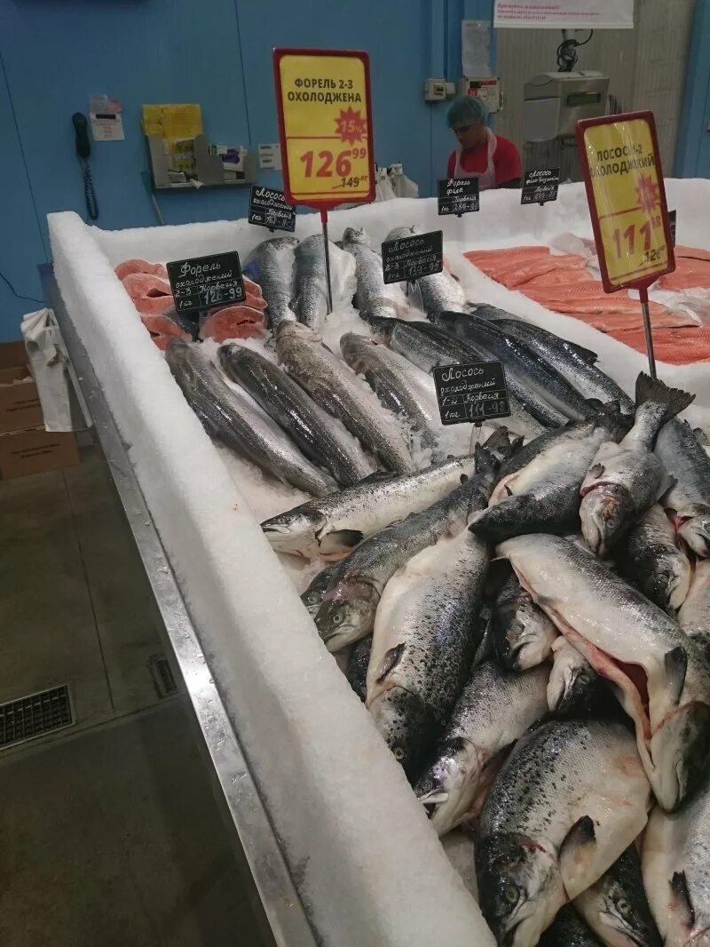 где дешевле рыба. дагестанская рыба кутум. рыба в ассортименте. рыбный прилавок. рыба на прилавке.