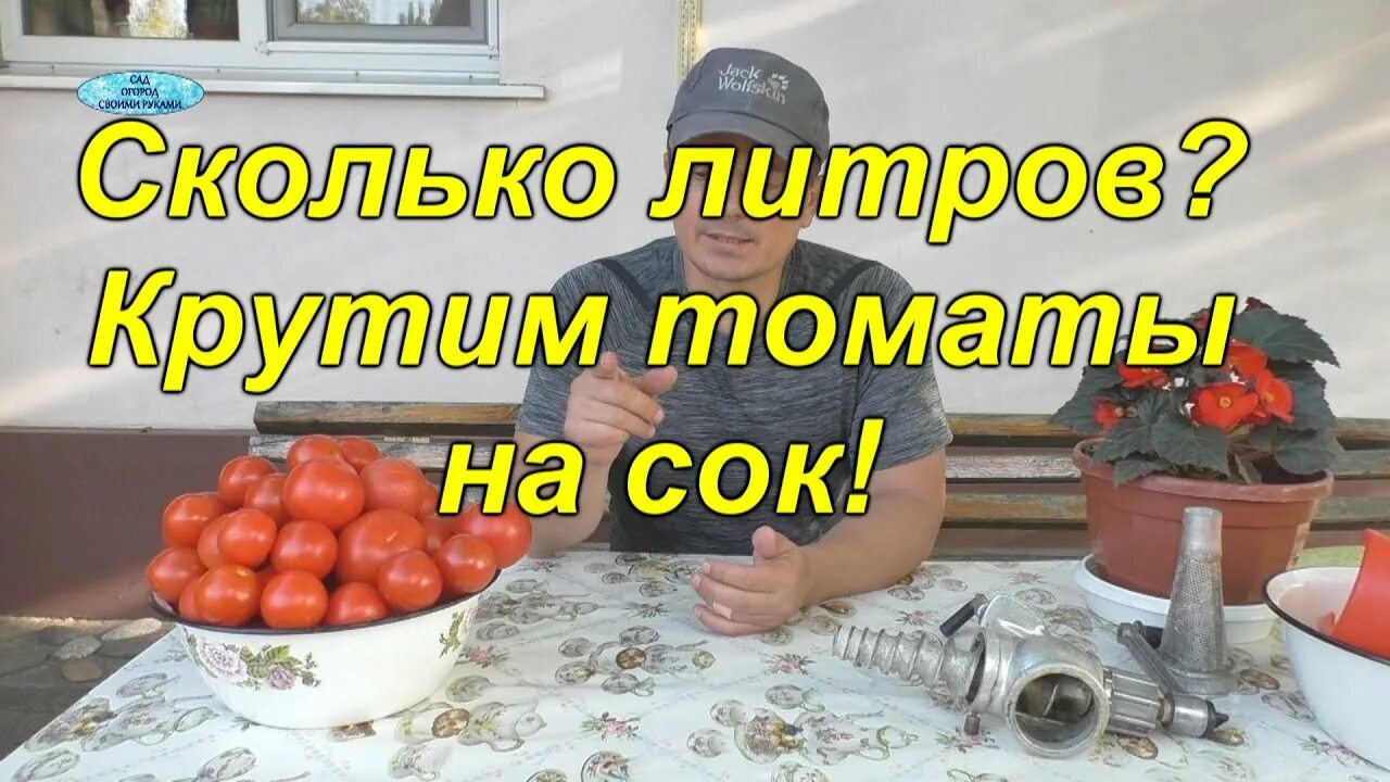 Сколько из кг помидор получается литров томата. 1 кг помидоров. из 5 кг томата сколько сока. сколько томатного сока получается из 1 кг помидоров. сколько томатного сока выходит из 1 кг помидор.