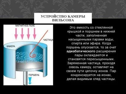 Камера вильсона