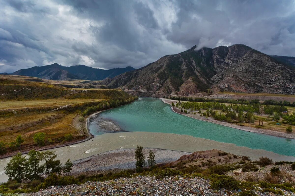 Горный Алтай Бия и Катунь. Исток Катуни Алтай. Исток реки Катунь. Исток реки Чуя горный Алтай.
