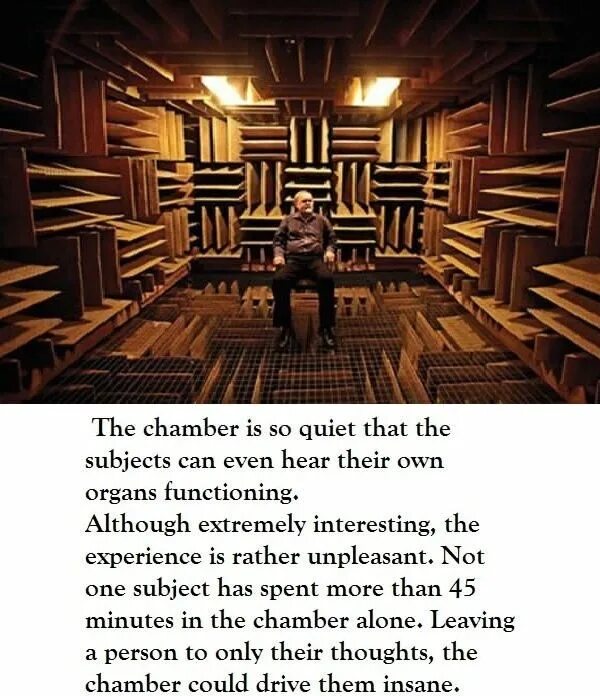 Extremely interesting. Quietest room. extremely interesting синоним. quietest room in the world. quite room.