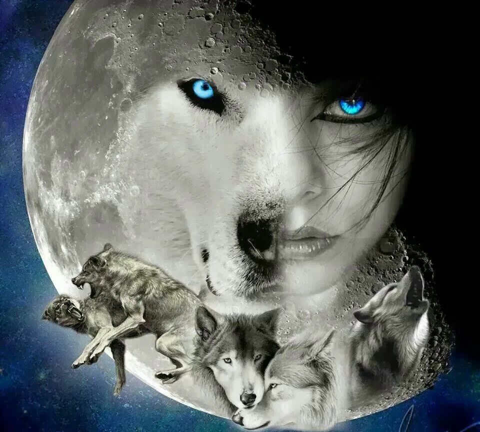 Чуждый взгляд. Волчица и женщина. Девушка с волком. Красивая девушка с волком. Волчица и девушка.