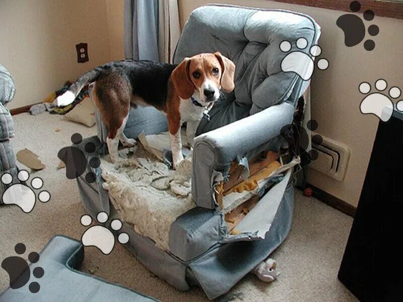 Вещи бывших хозяев