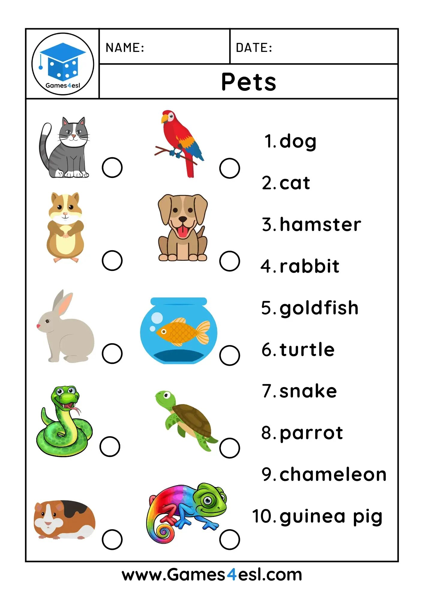 Pet 2 английский. Pets задания для детей. Домашние питомцы Worksheets. My Pet интересные задания. Pets Worksheets for Kids.