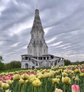 Цветение 2023