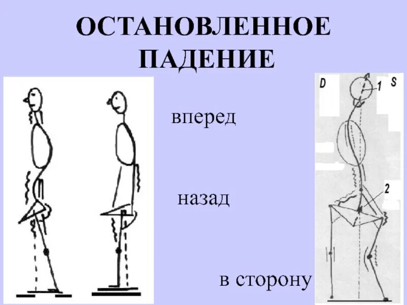 Остановись в падении. Остановленное падение тела. Остановленное падение вперед. Тело падает вперед. Остановленное падение осанка.