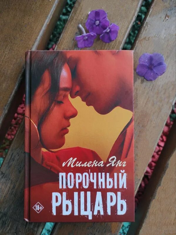 порочный рыцарь книга