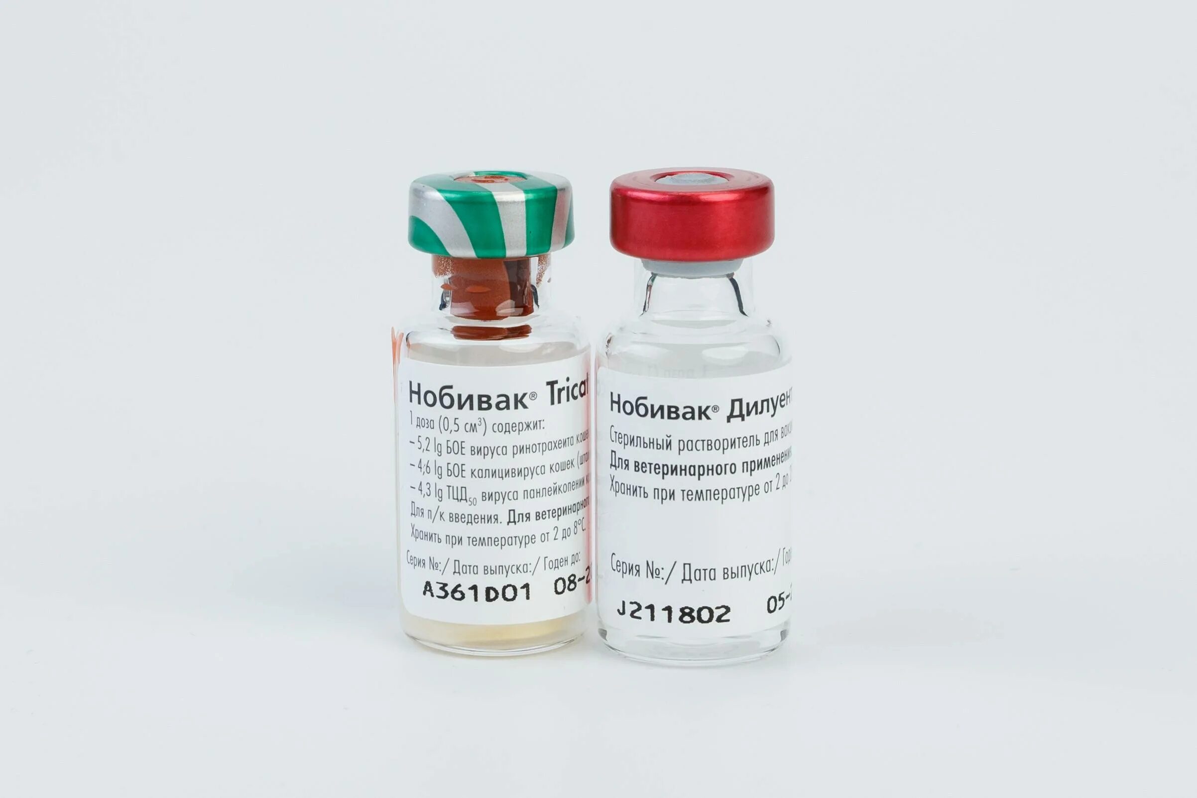 Вакцина нобивак цена. Нобивак Tricat Trio. Вакцинация кошек Nobivac Tricat Trio. Nobivac Tricat Trio vaccine. Вакцина Нобивак трикет трио для кошек.