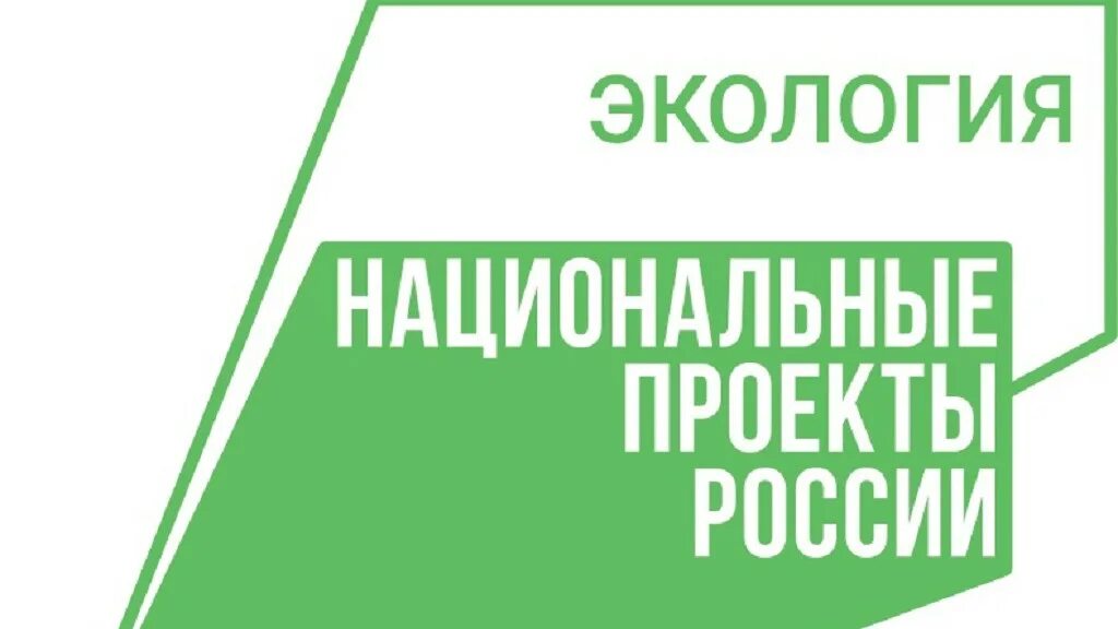 Национальные проекты 24. Национальный проект экология. Национальные проект ыэколгия. Национальные проекты России экология. Нацпроект экология.