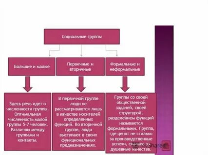 Роль вторичных групп в жизни общества